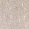 Sand Dune Beige